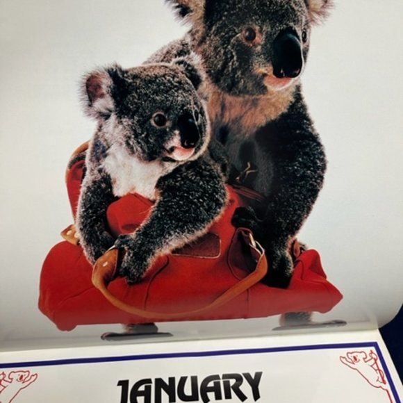 VTG "Sydney", the Qantas Koala Bear 1985 Calendar 12x12" - Picture 4 of 9